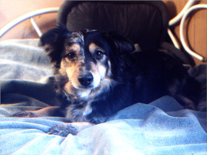 Little Kal
