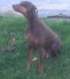 Madeline 2011-11-11A