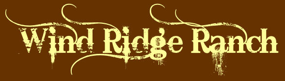 Wind Ridge Ranch